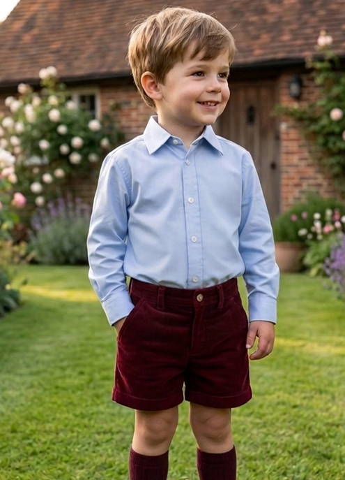 camisa azul cuello niño