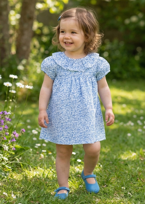 baby dress blue flowers